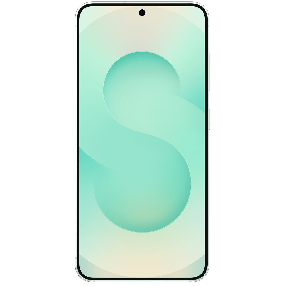 Samsung Galaxy S25 TDRA