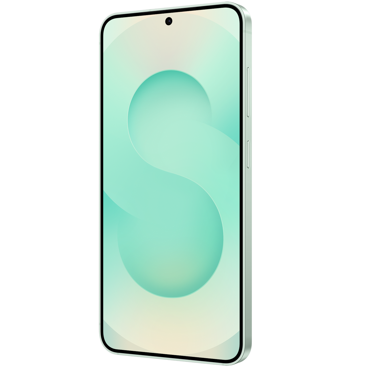 Samsung Galaxy S25 TDRA