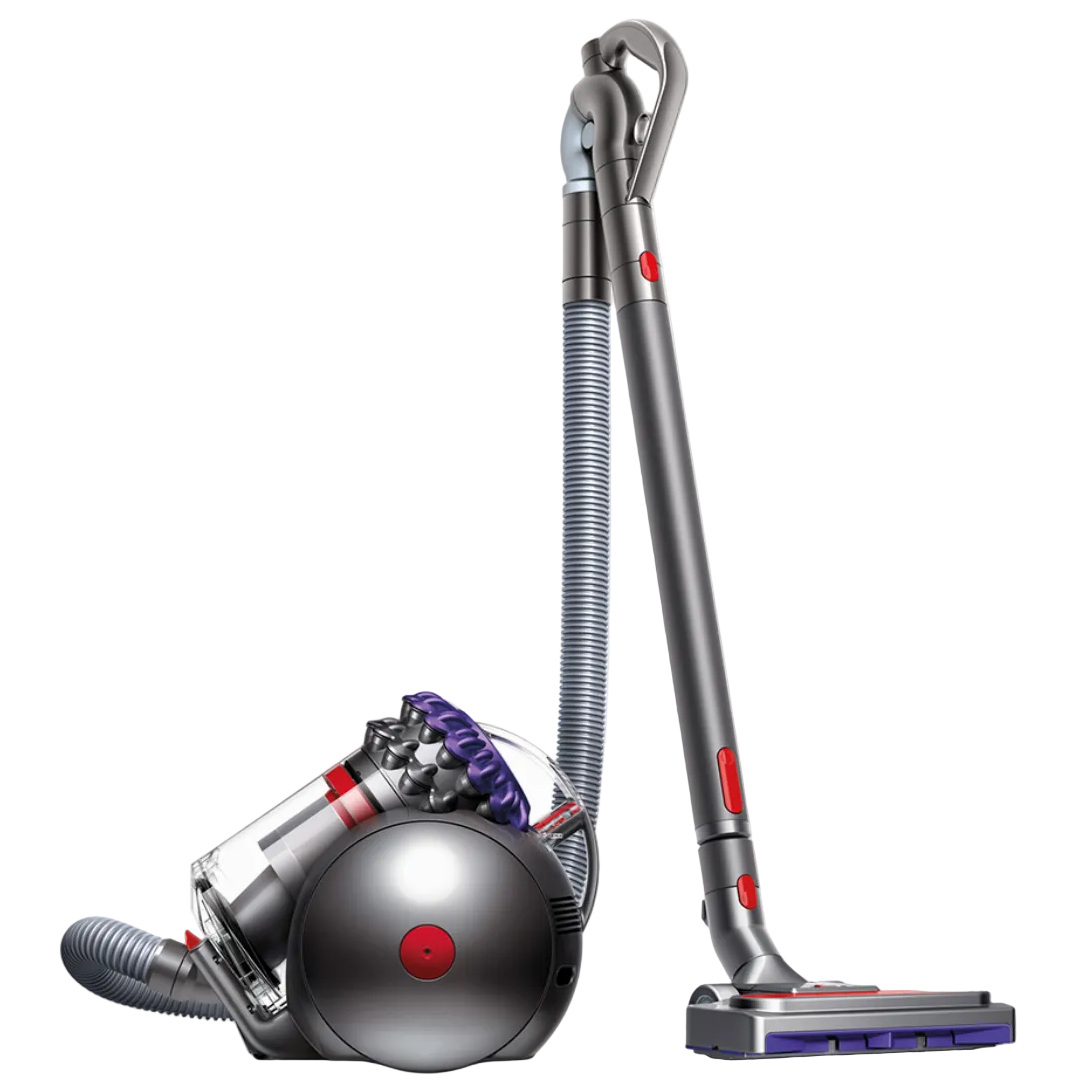 Dyson Big Ball Animal 2